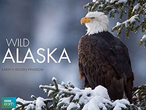 Wild Alaska