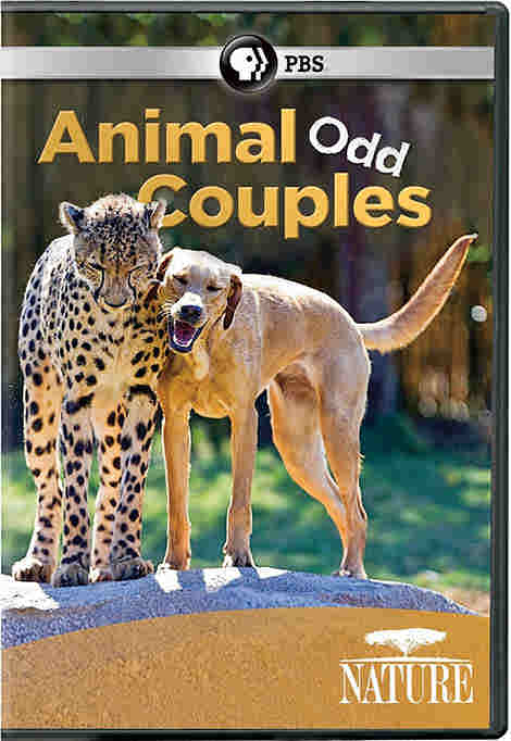 PBS-Nature-Animal-Odd-Couples-2012