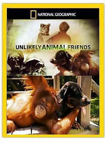 Unlikely Animal Friends All in the Family