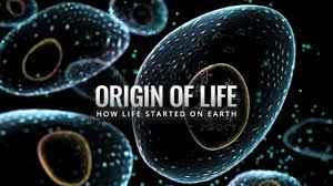 How Life Began & Earth Born